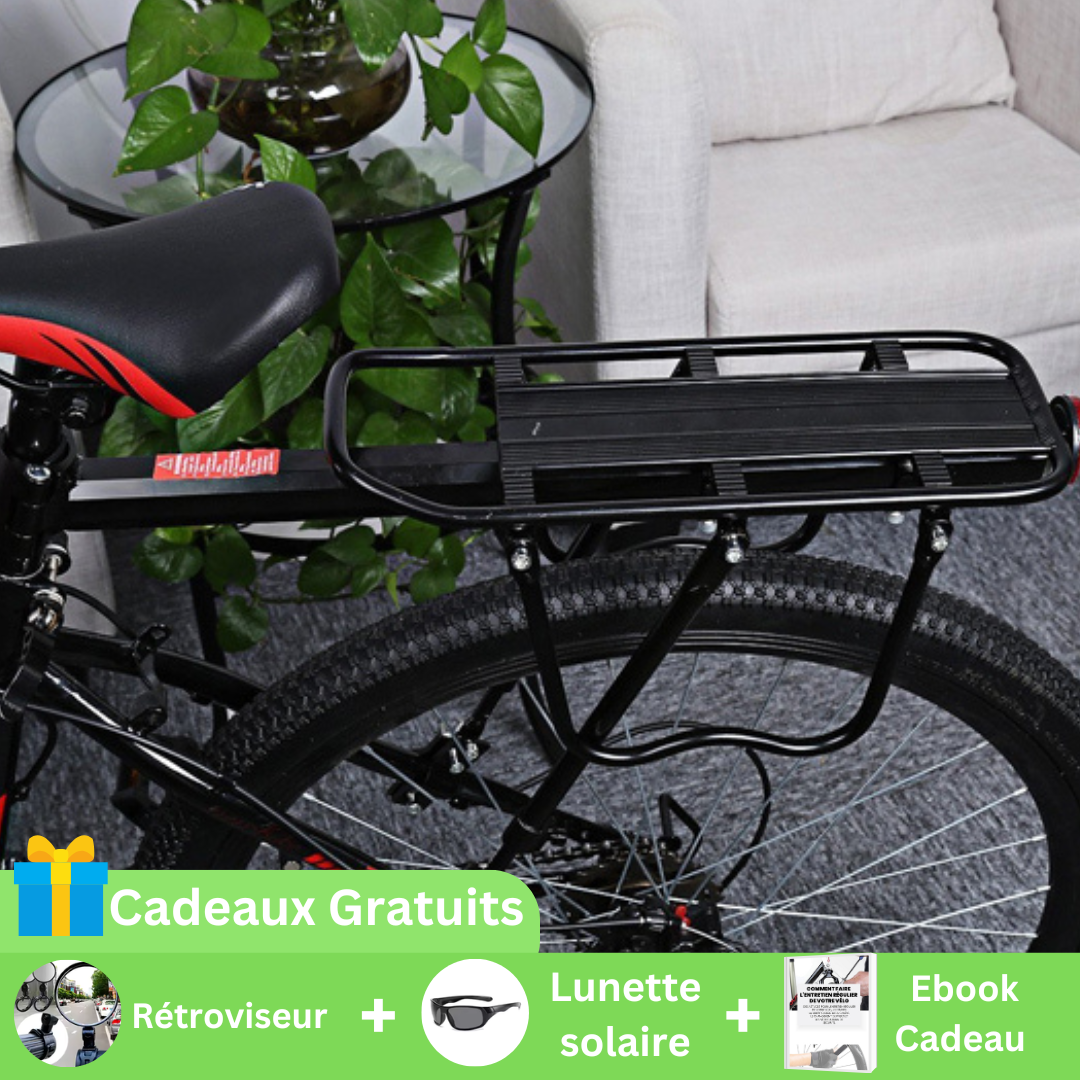 porte bagage velo pret pour utilisation