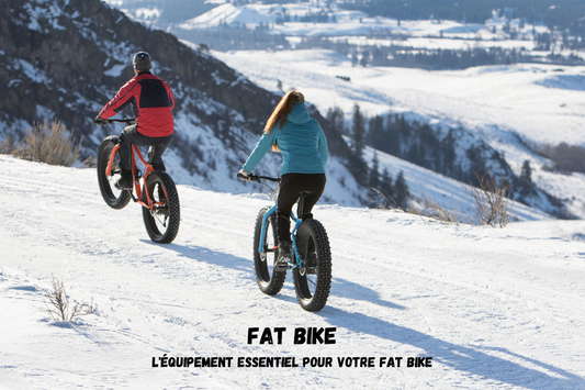 Fat bike